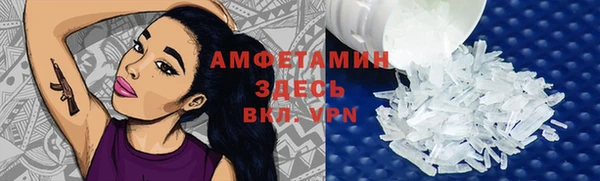 амф Алексин