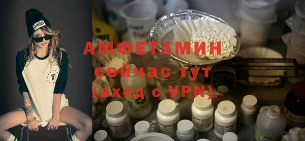 гашик Алексеевка