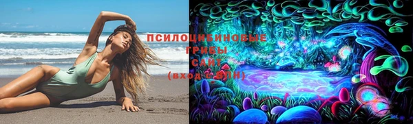 амф Алексин