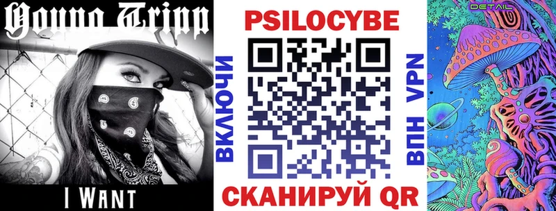 Псилоцибиновые грибы GOLDEN TEACHER  Черкесск 