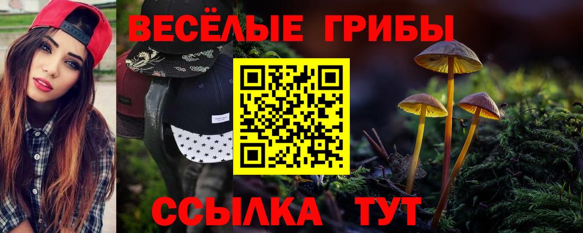 Псилоцибиновые грибы ЛСД  Вход с VPN  Черкесск 