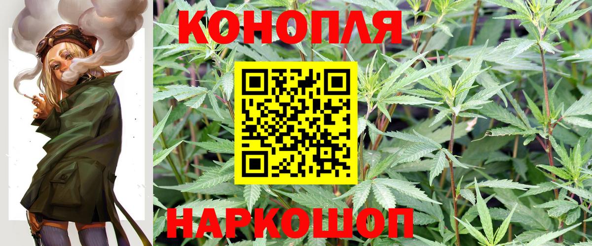 Бошки марихуана конопля  Конопля конопля  Вход с VPN  Черкесск 